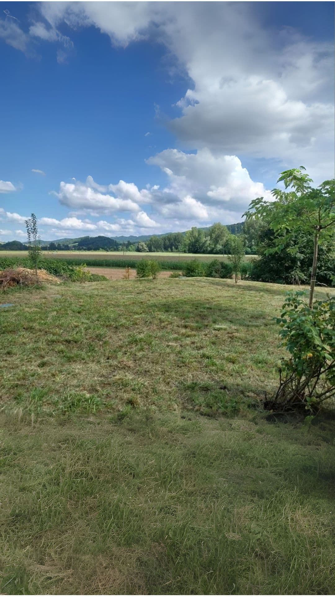 Après intervention - Grand terrain Pamiers