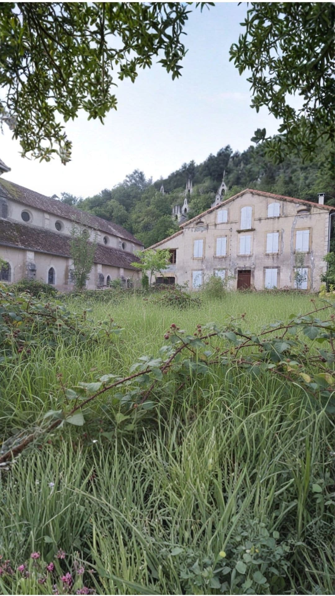 Avant intervention - Terrain bâtiment Angoulême