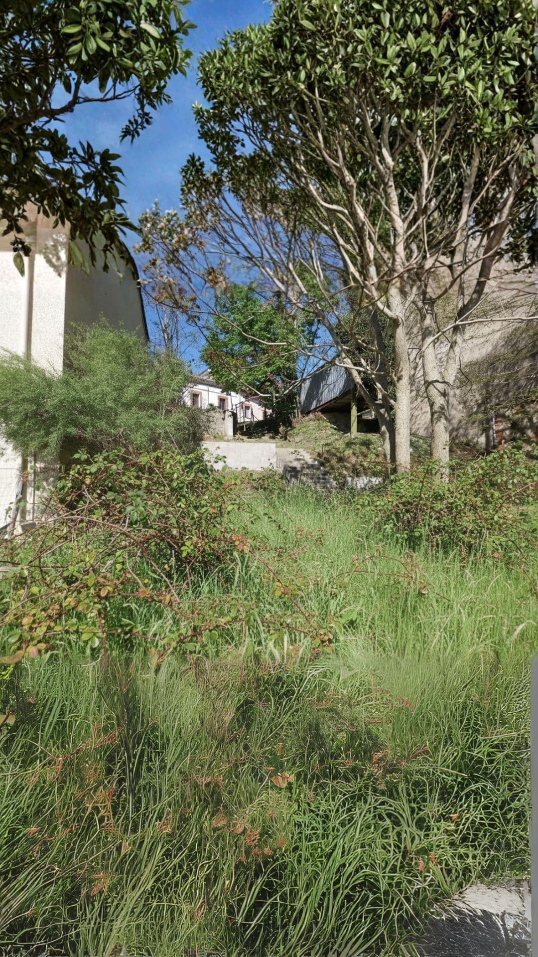 Avant intervention - Grand terrain La Rochelle