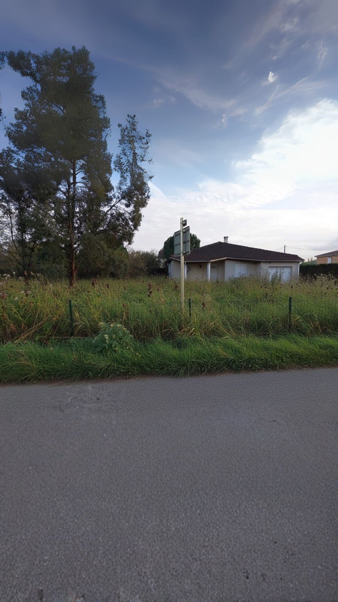 Avant intervention - Jardin Niort