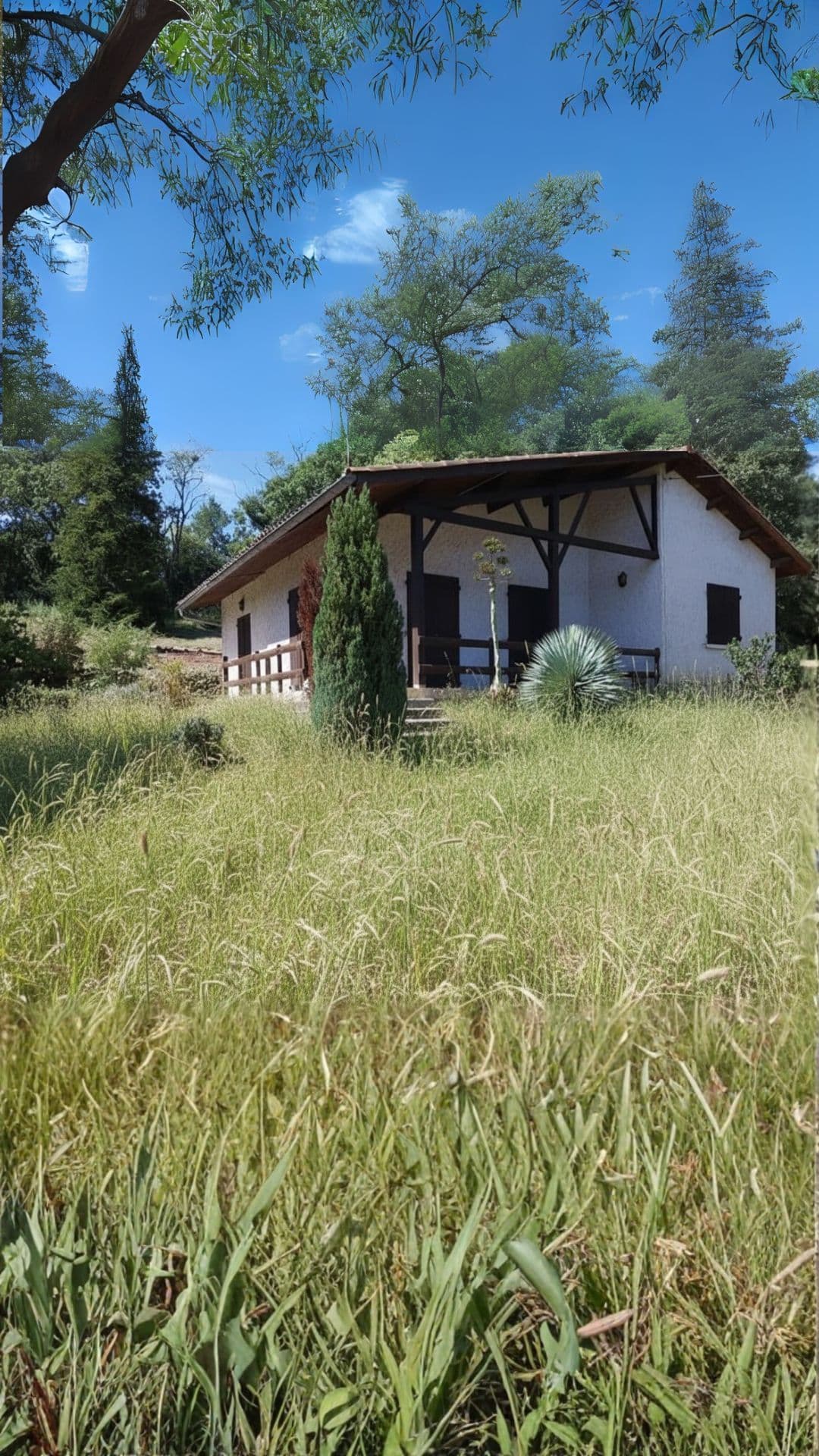 Avant intervention - Jardin Poitiers