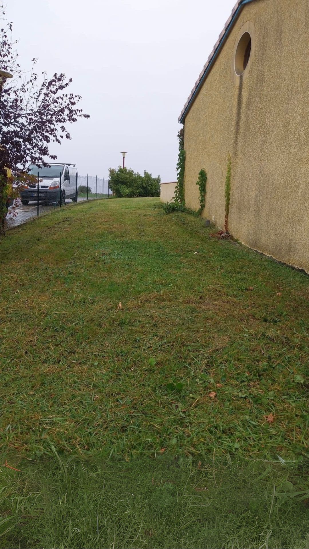 Après intervention - Pelouse Limoges