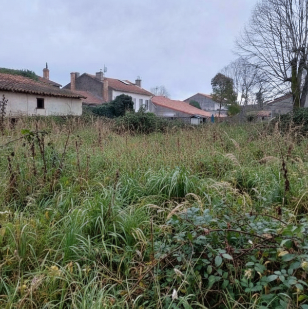 Débroussaillage d'un terrain en friche avant notre intervention à Toulouse (31 Occitanie), montrant des herbes hautes et une végétation dense.